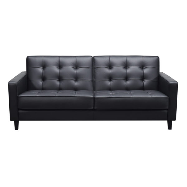Elwood 3SS Premium Onyx_Front