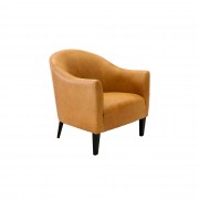 Daniela Accent Chair - Moran Furniture